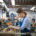 A professional business image related to Cedar Rapids marketing trends — Cedar Rapids Marketing Trends Every Small Business Owner Needs to Know
